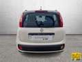 Fiat Panda Panda 1.2 easypower Easy Gpl 69cv - thumbnail 6