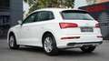 Audi Q5 50 TFSi e PLUG-IN QU.*S-LINE*B&O*ACC*MASSAGE Weiß - thumbnail 2