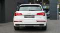 Audi Q5 50 TFSi e PLUG-IN QU.*S-LINE*B&O*ACC*MASSAGE Weiß - thumbnail 15