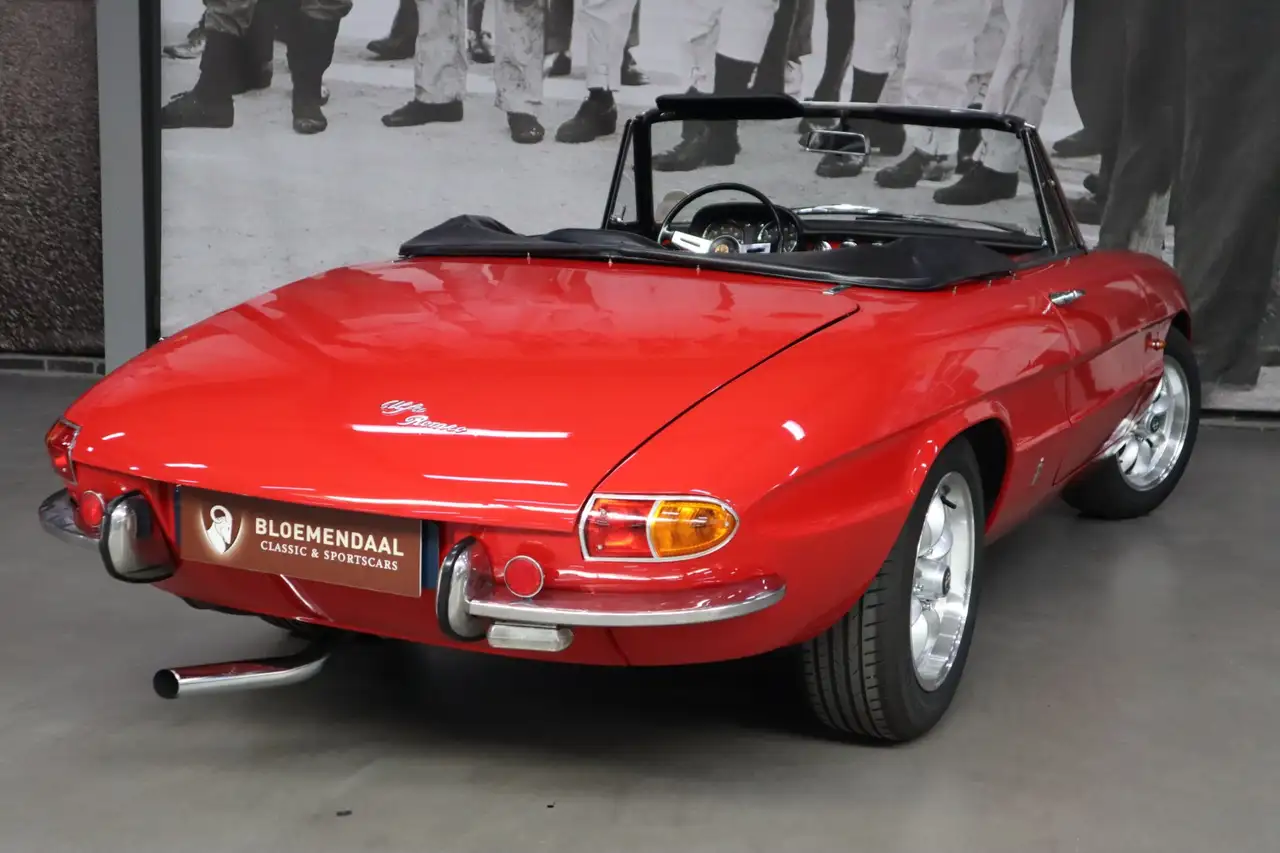 Alfa Romeo Spider Duetto 1600, foto 4