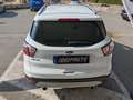 Ford Kuga Kuga 1.5 tdci Titanium Business s Bianco - thumbnail 5