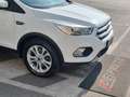 Ford Kuga Kuga 1.5 tdci Titanium Business s Bianco - thumbnail 3