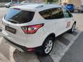 Ford Kuga Kuga 1.5 tdci Titanium Business s Bianco - thumbnail 4