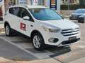 Ford Kuga Kuga 1.5 tdci Titanium Business s Bianco - thumbnail 2