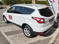 Ford Kuga Kuga 1.5 tdci Titanium Business s Bianco - thumbnail 6