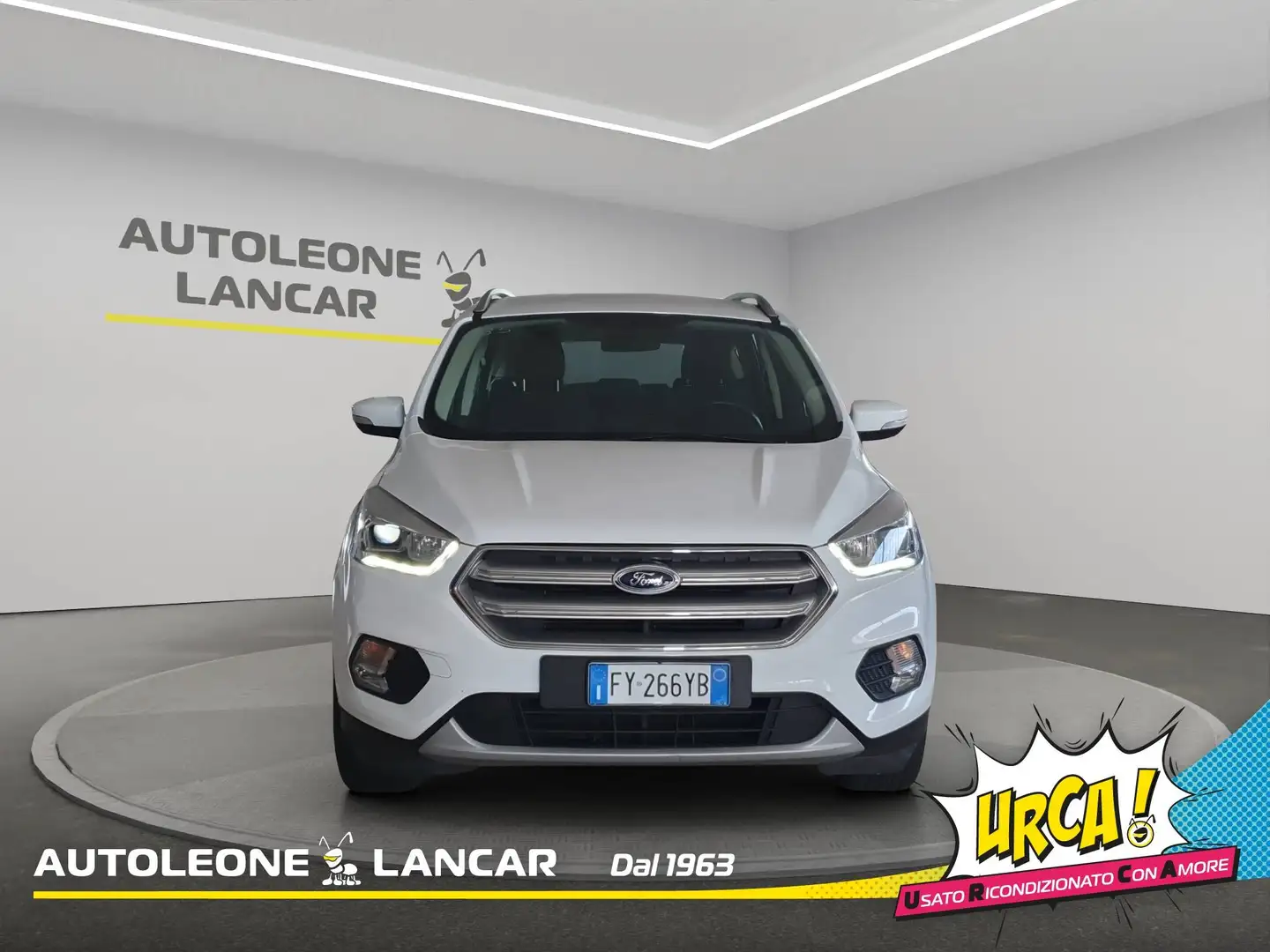 Ford Kuga 1.5 ecoboost Business 2wd 120cv E6 Fehér - 2