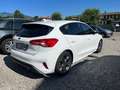 Ford Focus Focus 5p 1.5 tdci ST-Line s Weiß - thumbnail 4