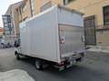 Ford Transit 350 2.0 HDT 130CV RWD   SPONDA  GEMELLATO BOXATO Weiß - thumbnail 1