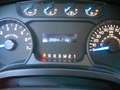 Ford F 150 F-150 5,0L  V8 Schwarz - thumbnail 11