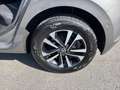 Volkswagen Polo Polo UNITED 1.0 OPF 70 kW (95 ch) 7 vitesses DSG Grijs - thumbnail 22