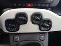 Fiat Panda Pandina 1.0 Hybrid 51kW (70cv) Verde - thumbnail 18