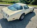 Chevrolet Chevette C 3 Beige - thumbnail 10