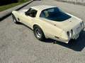 Chevrolet Chevette C 3 Beige - thumbnail 14