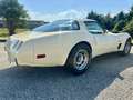 Chevrolet Chevette C 3 Beige - thumbnail 11