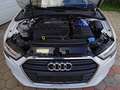 Audi A3 SB S-tronic 1,6 TDI Design Weiß - thumbnail 3