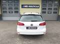 Volkswagen Golf 1.6tdi 115cv dsg/navi/sen ant-post/cruise adattivo Bianco - thumbnail 13