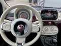 Fiat 500 1.2 Lounge met panorama dak Paars - thumbnail 6