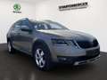 Skoda Octavia Scout 4x4DSG *Navi,PDC,LED,SHZ* Sárga - thumbnail 2