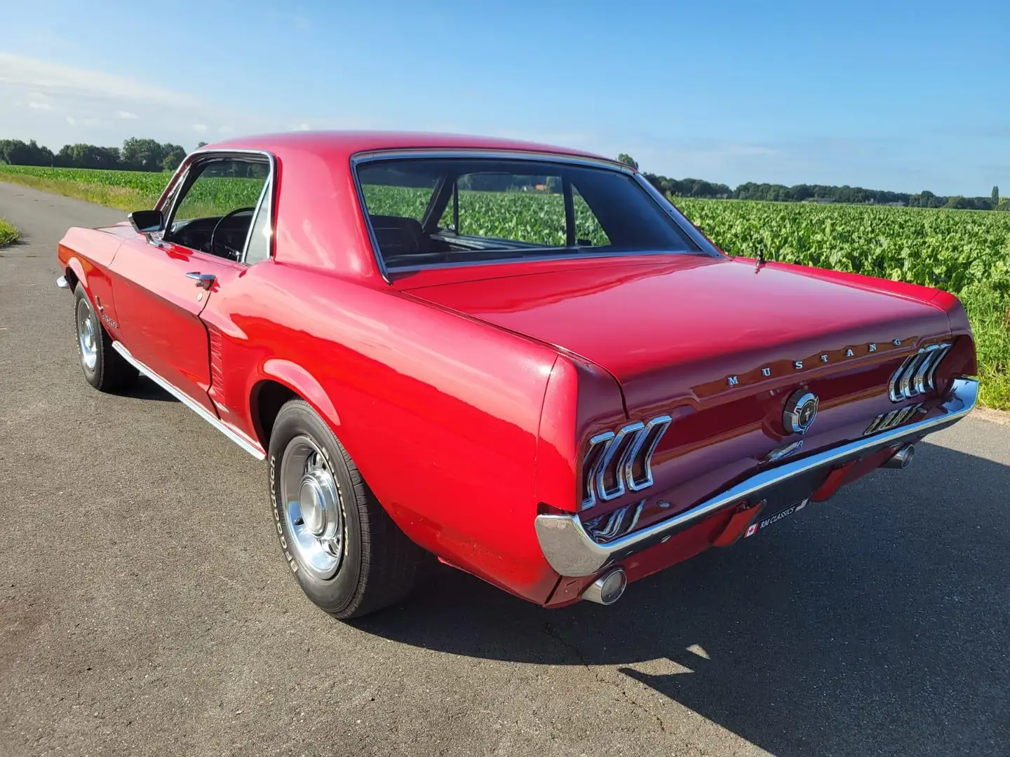 Ford Mustang USA 302 OLDTIMER V8 - 2
