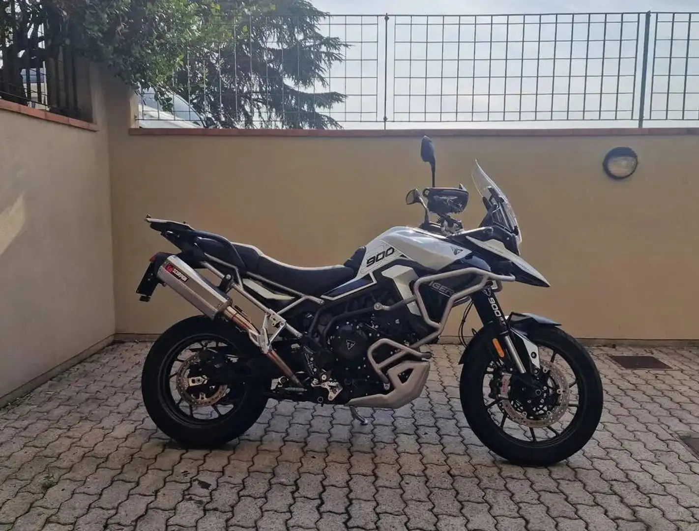Triumph Tiger 900 Bianco - 2