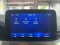 Ford Kuga TITANIUM PLUG-IN HYBRID DURATEC AHK Wit - thumbnail 14