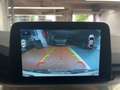 Ford Kuga TITANIUM PLUG-IN HYBRID DURATEC AHK Wit - thumbnail 15