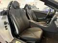 Mercedes-Benz SLK 280 3.0 V6 book service - pari al nuovo Argento - thumbnail 7