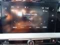 Opel Mokka e Elegance, 3Phasig, Kamera,.... Grün - thumbnail 15