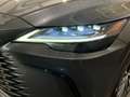 Lexus RX 350h 2.5 premium hybrid Executive e-cvt Grigio - thumbnail 7