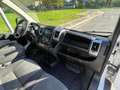 Fiat Ducato 35 3.0 MJT 180CV PLM Cabinato Maxi Wit - thumbnail 11