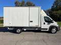 Fiat Ducato 35 3.0 MJT 180CV PLM Cabinato Maxi Wit - thumbnail 3