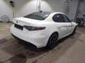 Alfa Romeo Giulia VELOCE TI 2.0 Turbo S/S AT8 280PS *PANO Weiß - thumbnail 4