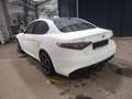 Alfa Romeo Giulia VELOCE TI 2.0 Turbo S/S AT8 280PS *PANO Weiß - thumbnail 5