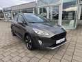 Ford Fiesta 1.0 EcoBoost Active Navi/Winterpaket Gris - thumbnail 1