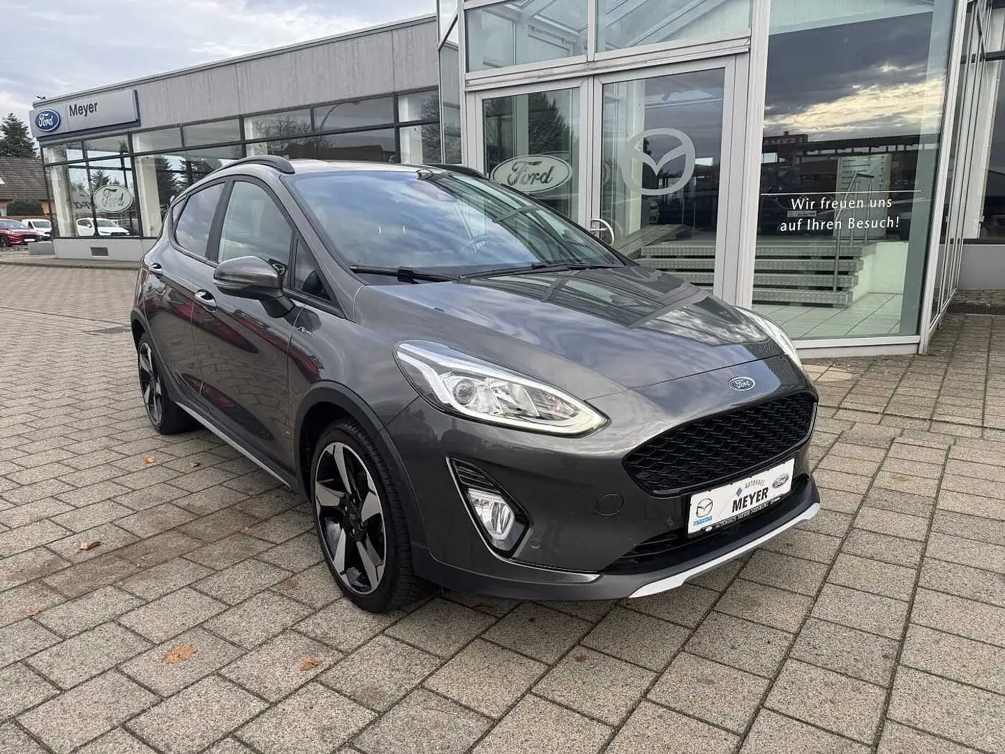 Ford Fiesta 1.0 EcoBoost Active Navi/Winterpaket Gris - 1