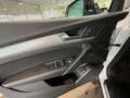 Audi Q5 advanced 50 TFSI e quattro 220(299) kW(PS) S Weiß - thumbnail 13