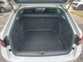 Skoda Superb 2.0 TDI 190 CV SCR DSG Wagon SportLine Bianco - thumbnail 5