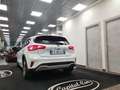 Ford Focus Focus 1.0 ecoboost Business s Bianco - thumbnail 13