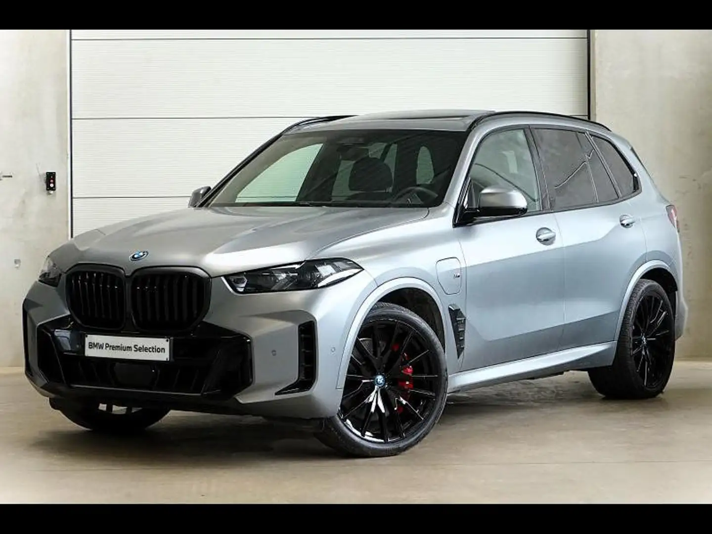 BMW X5 FROZEN GREY - M SPORT PRO - PA Grau - 1