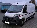 Fiat Ducato Ducato L4H2 - thumbnail 6