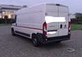 Fiat Ducato Ducato L4H2 - thumbnail 9