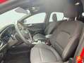 Ford Focus 1.5 Ecoboost ST Line 150 Rouge - thumbnail 20