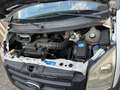Ford Transit 330 M TDCI Express Line Lkw - thumbnail 12