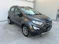 Ford EcoSport EcoSport 1.5 ecoblue Plus 2019 Gris - thumbnail 5