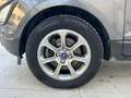 Ford EcoSport EcoSport 1.5 ecoblue Plus 2019 Gris - thumbnail 11