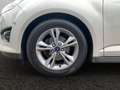 Ford C-Max C-MAX TREND+PARK-PILOT+KLIMA+WINTERPAKET! Silber - thumbnail 3