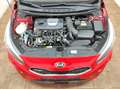 Kia Ceed / cee'd 1.6 T-GDI GT-Track NAVI PANO KAMERA PDC SHZ KLIMA Rouge - thumbnail 13