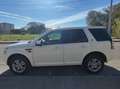 Land Rover Freelander 2.2 td4 SE 4wd 150cv Fehér - thumbnail 10