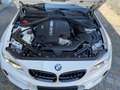 BMW M2 M-Driver`s-Pack|DriveAs|M-Performance-Aga|H&K Wit - thumbnail 20