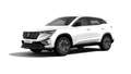 Renault Austral Evolution Mild Hybrid 150 Automatik Weiß - thumbnail 1